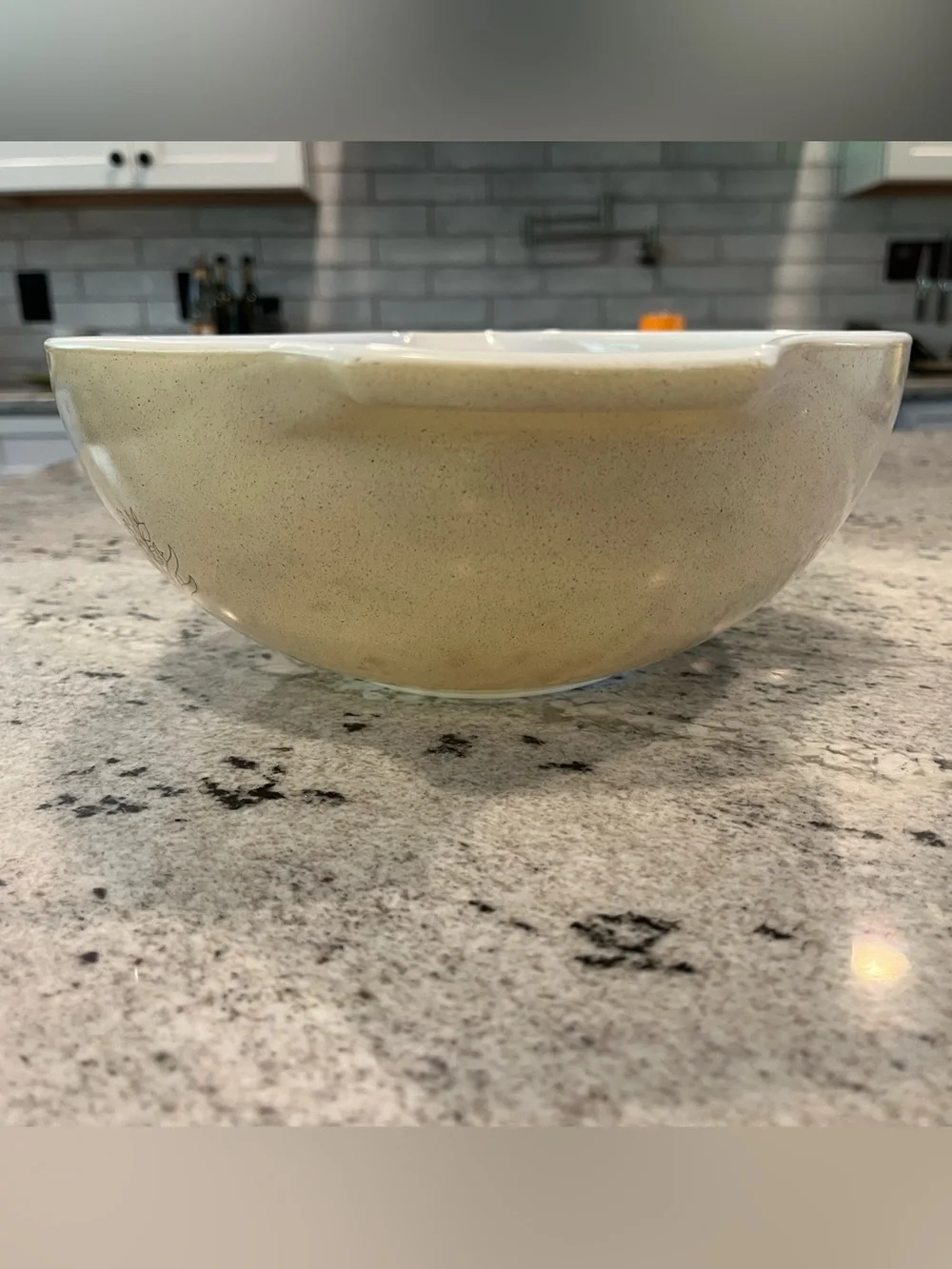 VTG Pyrex Forest Fancies Mushroom Mixing Bowl 444 Cinderella Large 4 Qt Handles